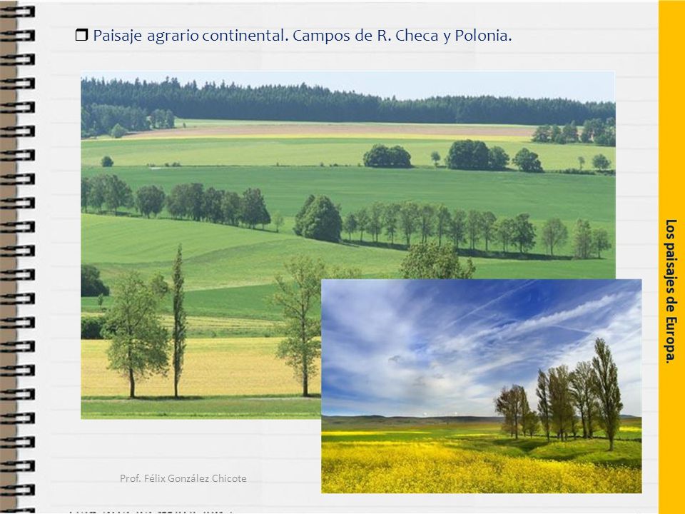  Paisaje agrario continental. Campos de R. Checa y Polonia. Prof. Félix González Chicote