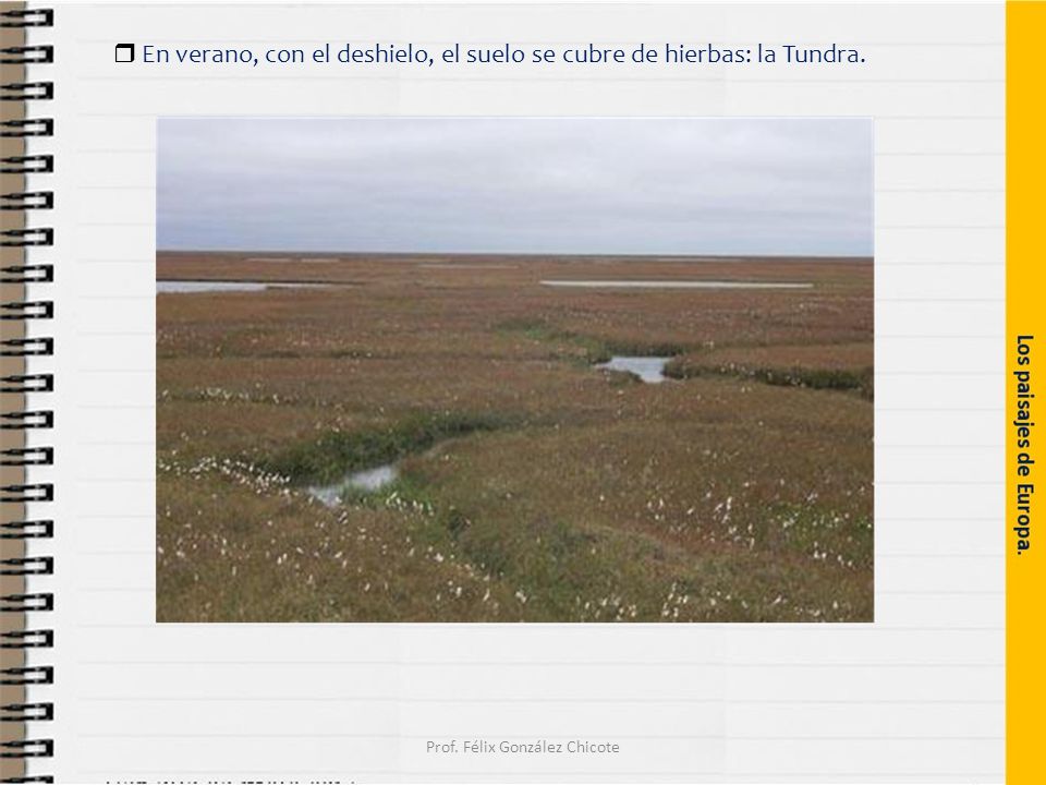  En verano, con el deshielo, el suelo se cubre de hierbas: la Tundra. Prof. Félix González Chicote