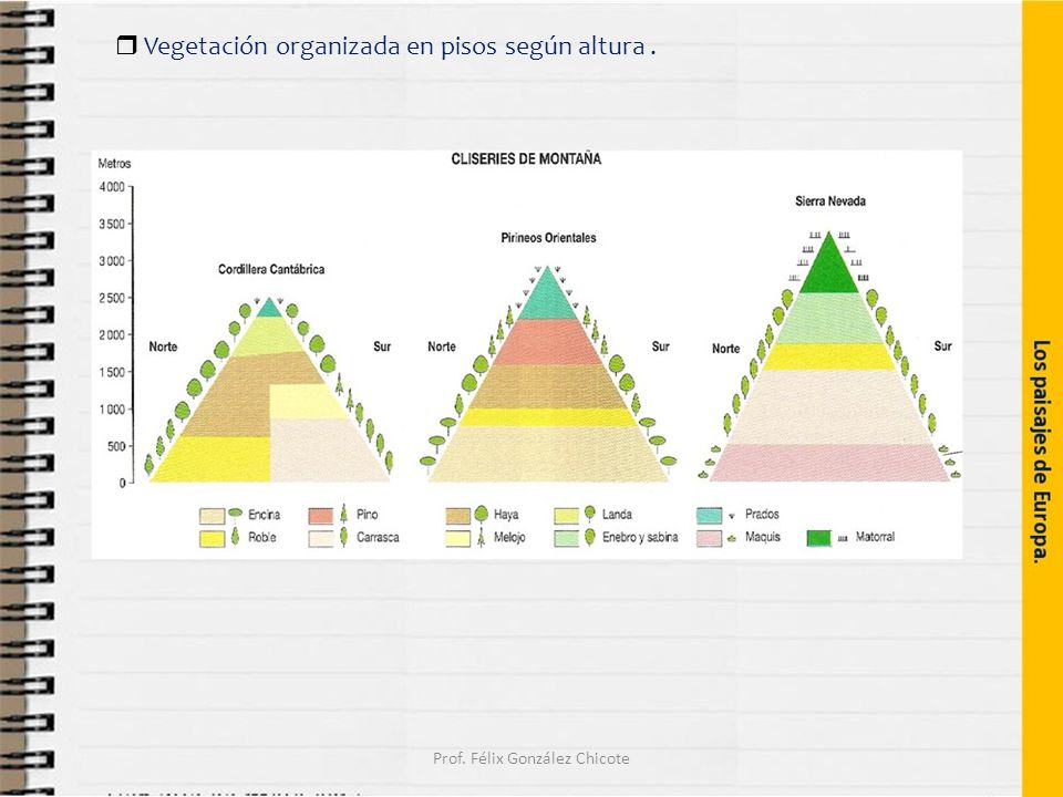  Vegetación organizada en pisos según altura. Prof. Félix González Chicote