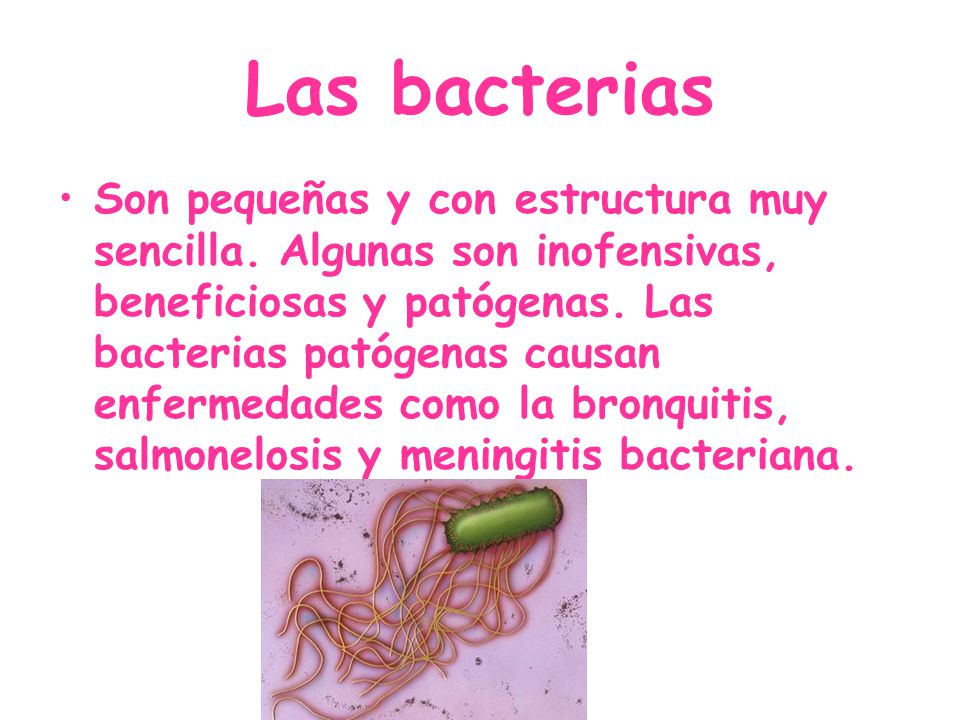 ENFERMEDADES QUE CAUSAN LAS AGUAS enfermedades que causan las aguas: