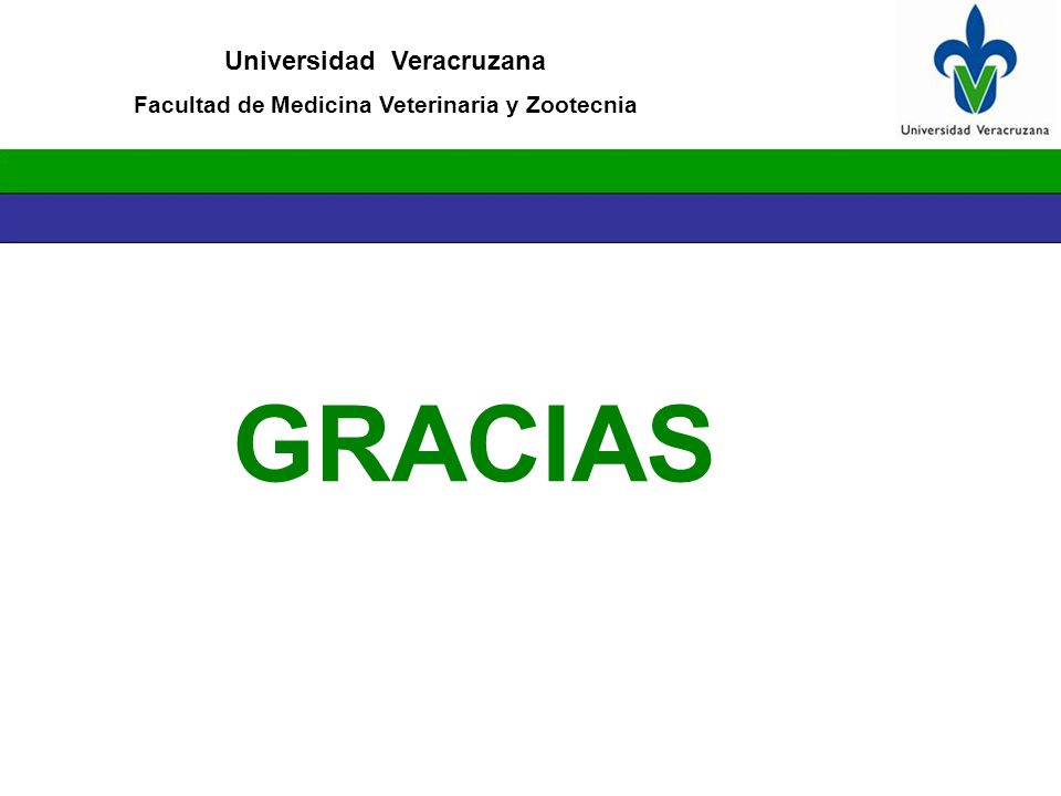 Universidad Veracruzana Primer Foro Universitario Junio