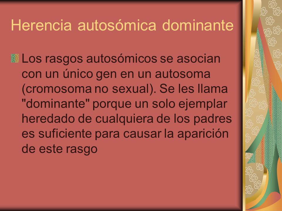Herencia autosómica dominante Los rasgos autosómicos se asocian con un único gen en un autosoma (cromosoma no sexual).