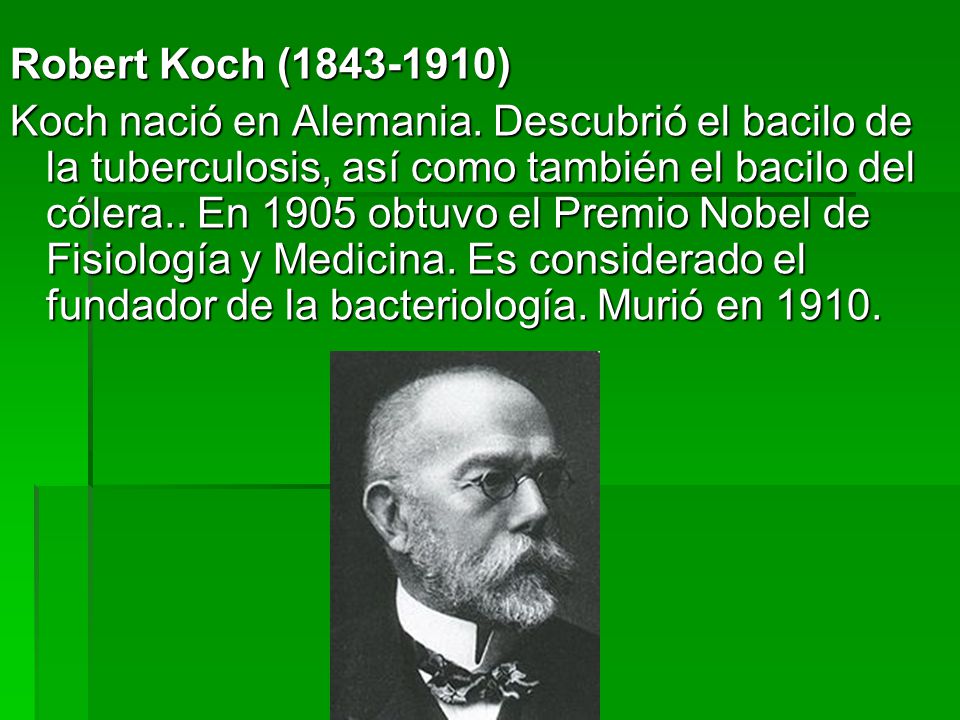DESCUBRIO EL BACILO DE LA TUBERCULOSIS descubrio el bacilo de la tuberculosis: