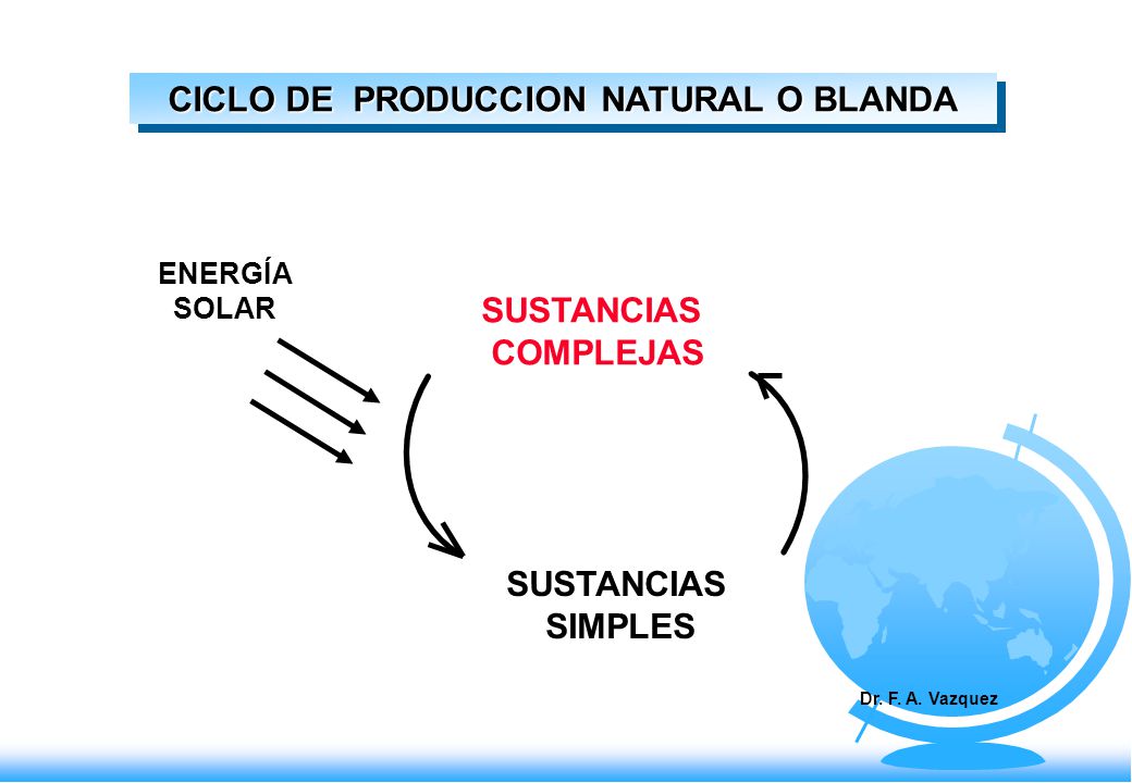 CICLO DE PRODUCCION NATURAL O BLANDA ENERGÍA SOLAR SUSTANCIAS COMPLEJAS SUSTANCIAS SIMPLES Dr.