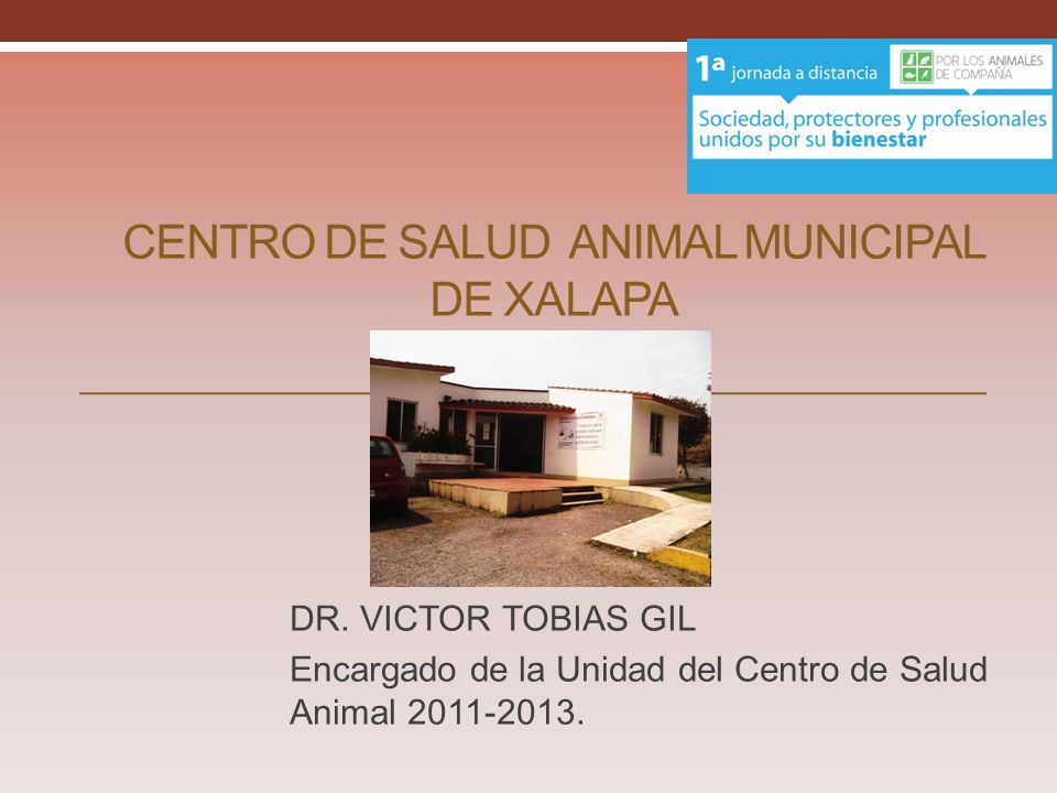 centros de salud animal municipales