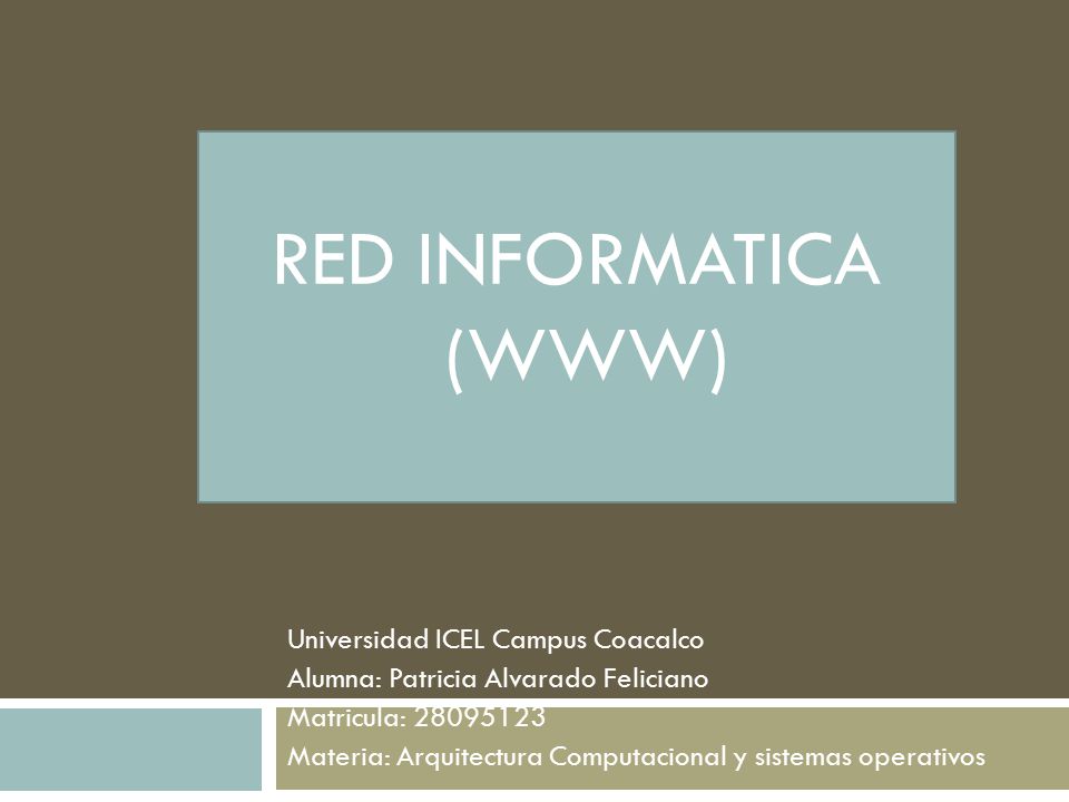 RED INFORMATICA (WWW) Universidad ICEL Campus Coacalco Alumna: Patricia Alvarado Feliciano Matricula: Materia: Arquitectura Computacional y sistemas operativos
