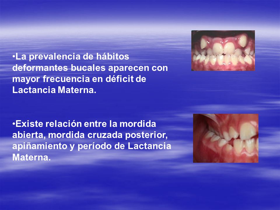 EFECTO DE LA LENGUA MATERNA EN EL efecto de la lengua materna en el: