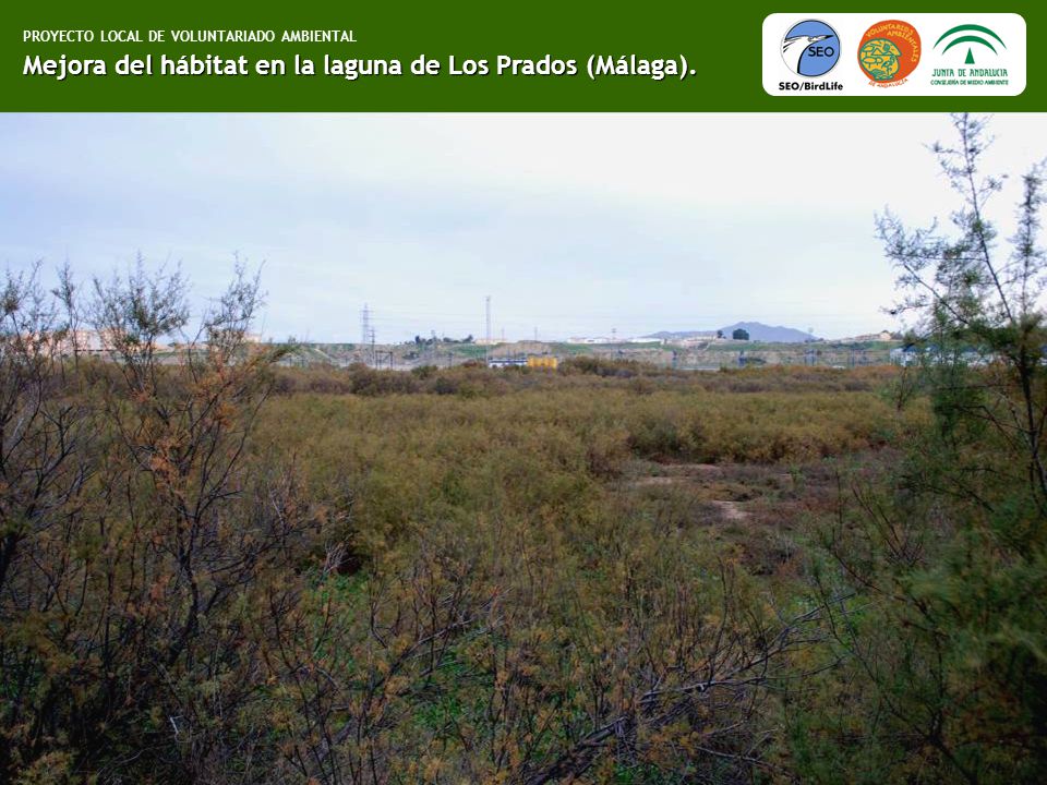 HABITAT MALAGA habitat malaga: