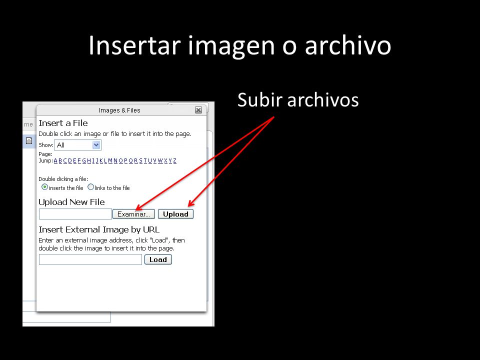 Insertar imagen o archivo Subir archivos