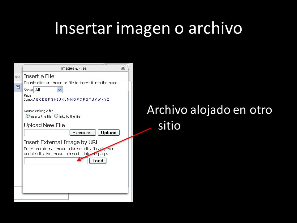 Insertar imagen o archivo Archivo alojado en otro sitio