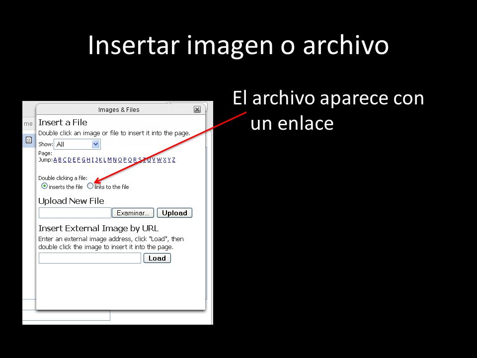 Insertar imagen o archivo El archivo aparece con un enlace