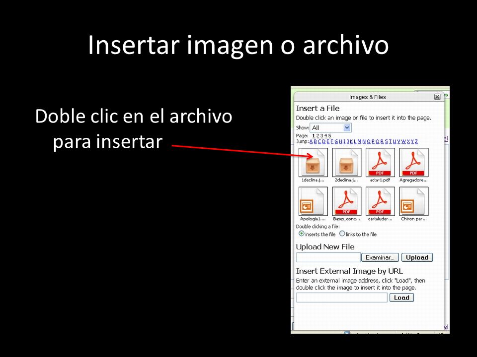 Insertar imagen o archivo Doble clic en el archivo para insertar