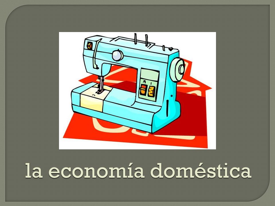 la economía doméstica