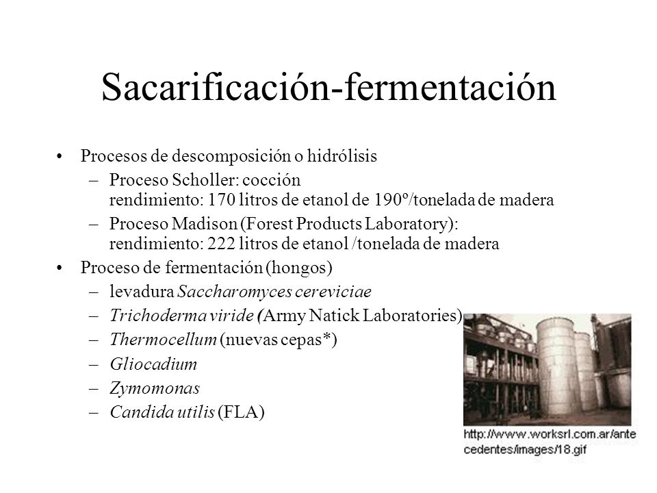 HIDROLISIS DE LA MADERA hidrolisis de la madera: