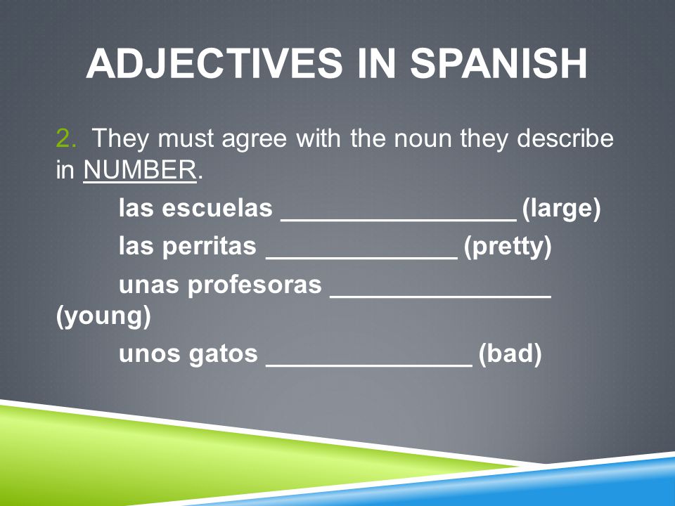 ADJECTIVES IN SPANISH 2. They must agree with the noun they describe in NUMBER.