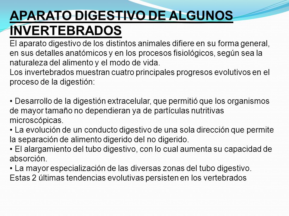 EL PROCESO DIGESTIVO DE LOS ANIMALES el proceso digestivo de los animales: