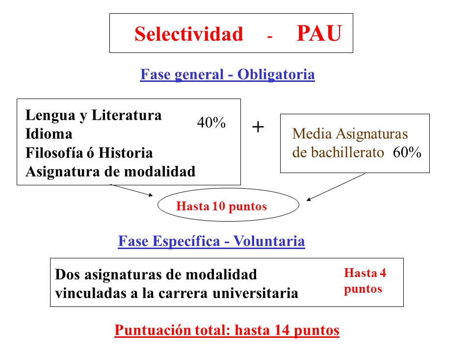 Asignaturas selectividad