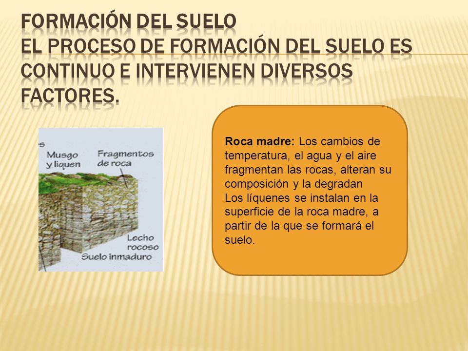 COMPOSICION ROCA MADRE composicion roca madre: