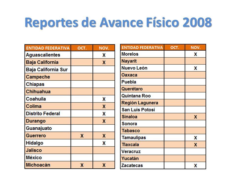 Reportes de Avance Físico 2008
