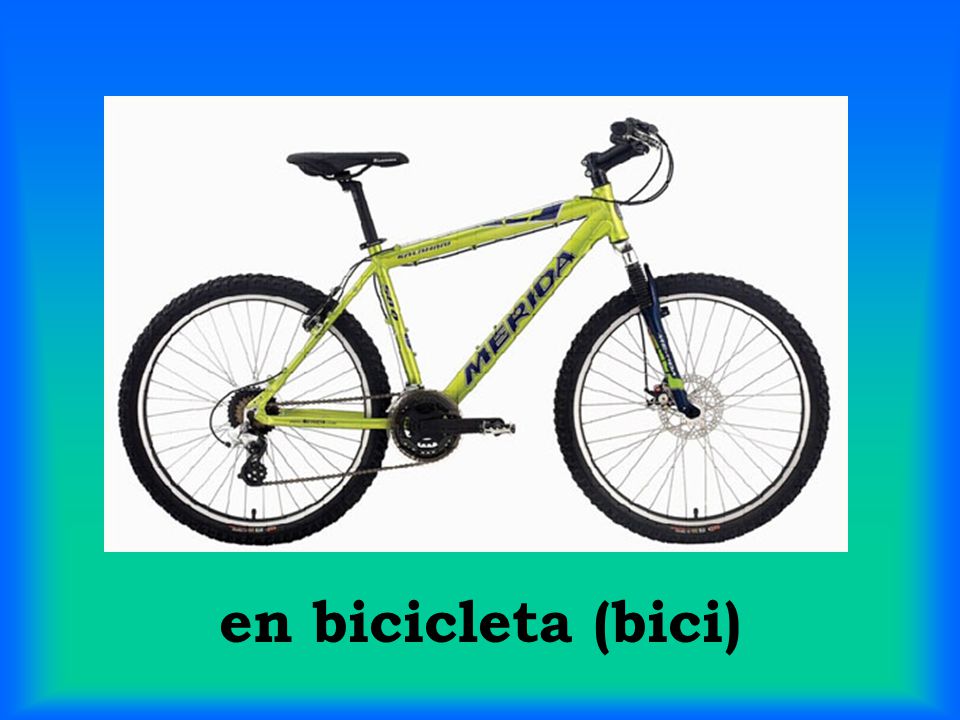 en bicicleta (bici)
