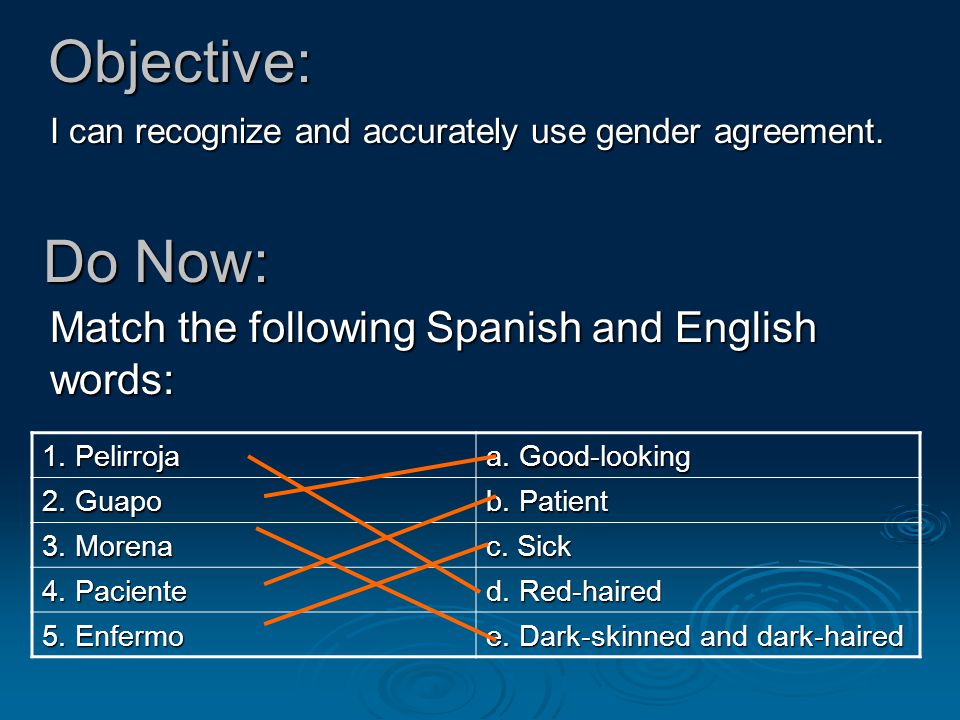 Objective: I can recognize and accurately use gender agreement.