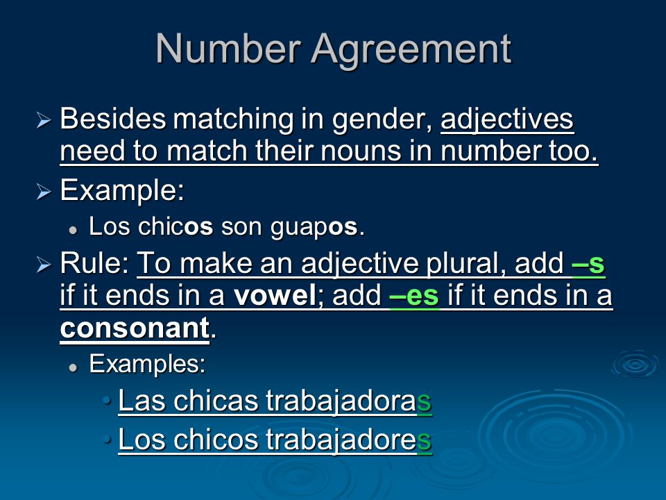 Number Agreement  Besides matching in gender, adjectives need to match their nouns in number too.