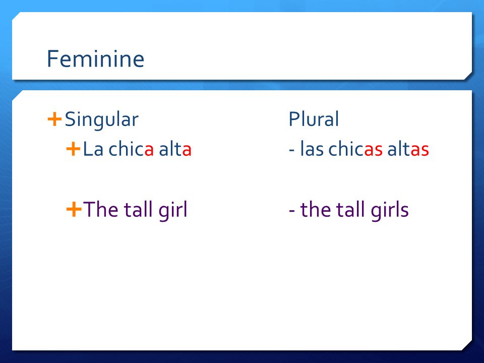 Feminine  SingularPlural  La chica alta- las chicas altas  The tall girl- the tall girls