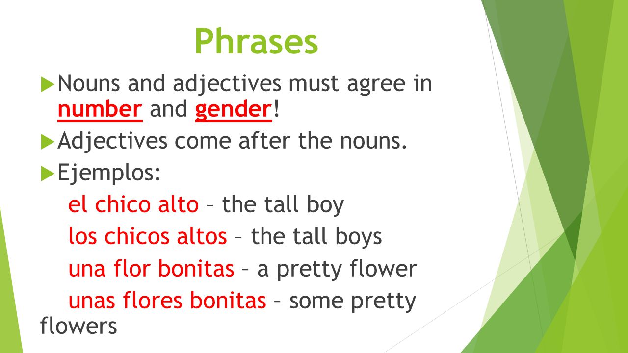 Phrases  Nouns and adjectives must agree in number and gender.