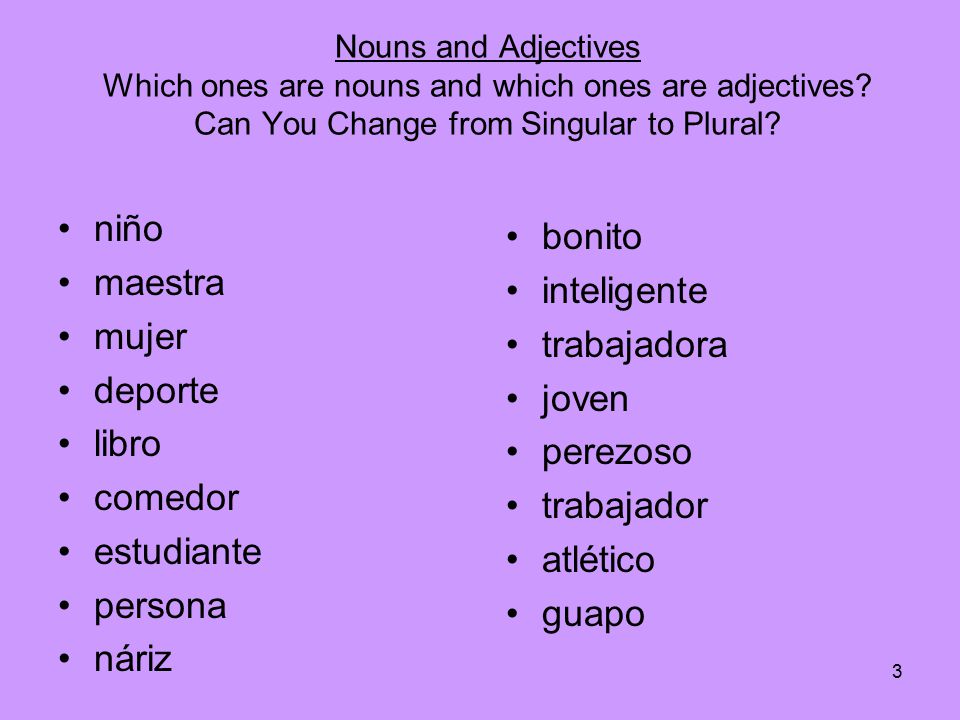 Nouns and Adjectives Which ones are nouns and which ones are adjectives.