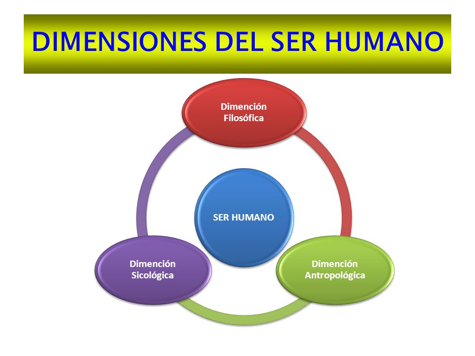 Unidades de longitud primaria