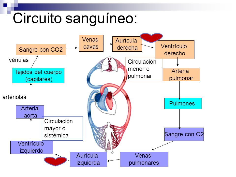 http://images.slideplayer.es/13/4163987/slides/slide_16.jpg