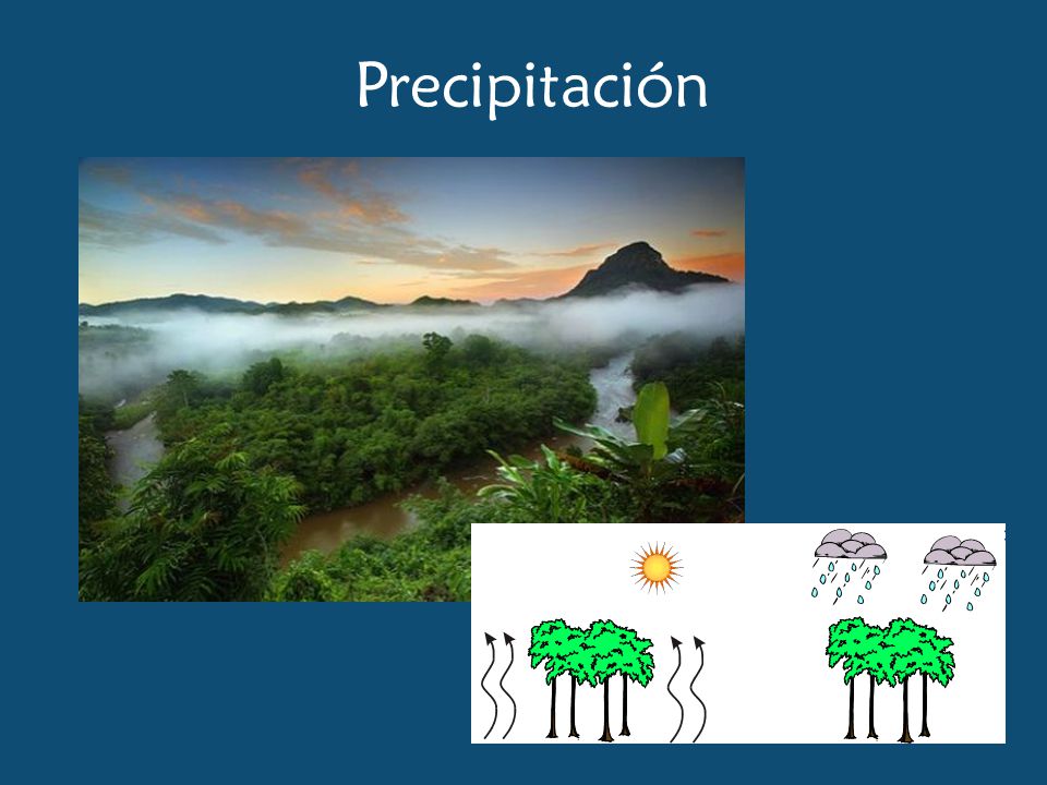 HABITANTES DE LA AMAZONIA habitantes de la amazonia: