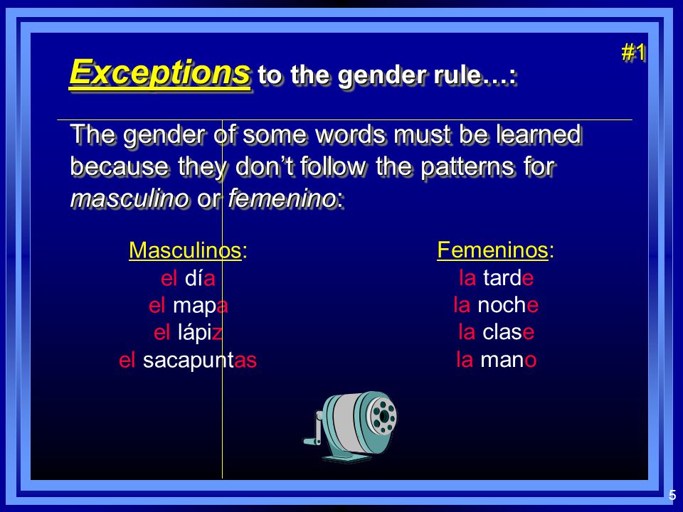 4 Los sustantivos (nouns): l The gender of a noun must be learned.