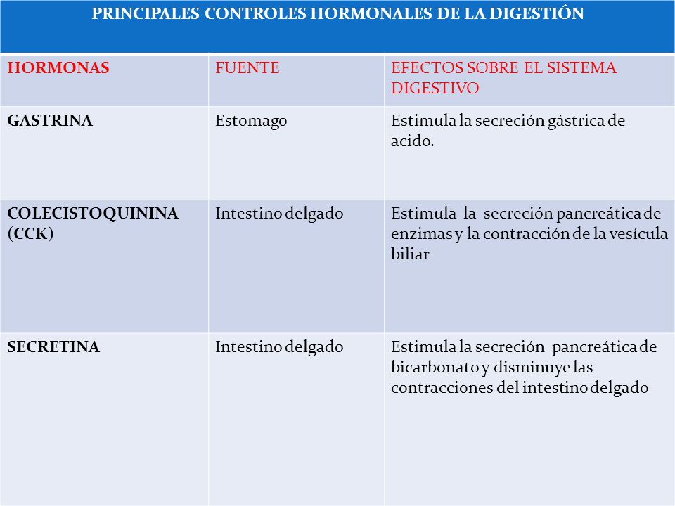 Resultado de imagen para DIGESTIÓN gastrointestinal