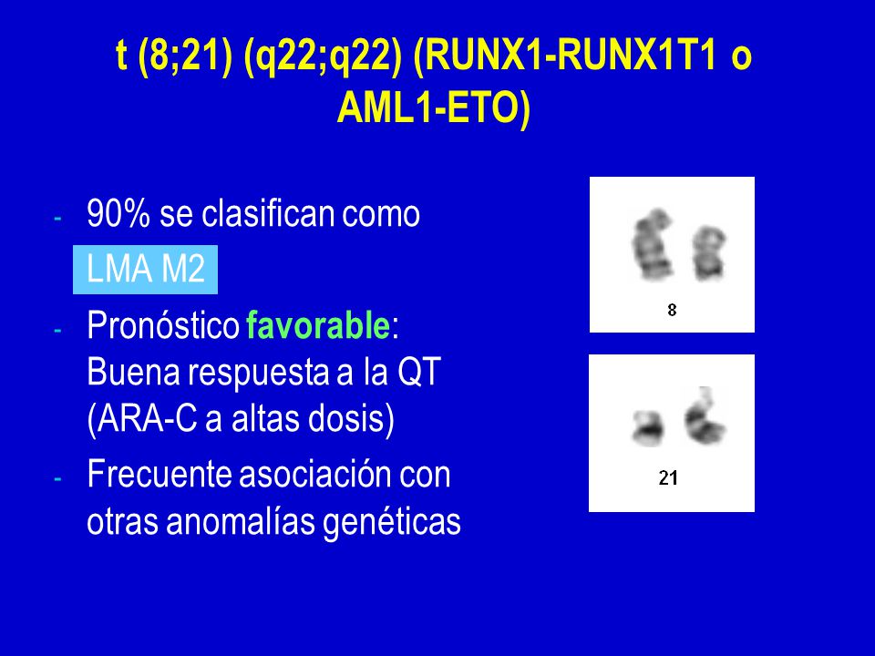 DE CITOGENETICA DE LEUCEMIA MIELOIDE de citogenetica de leucemia mieloide: