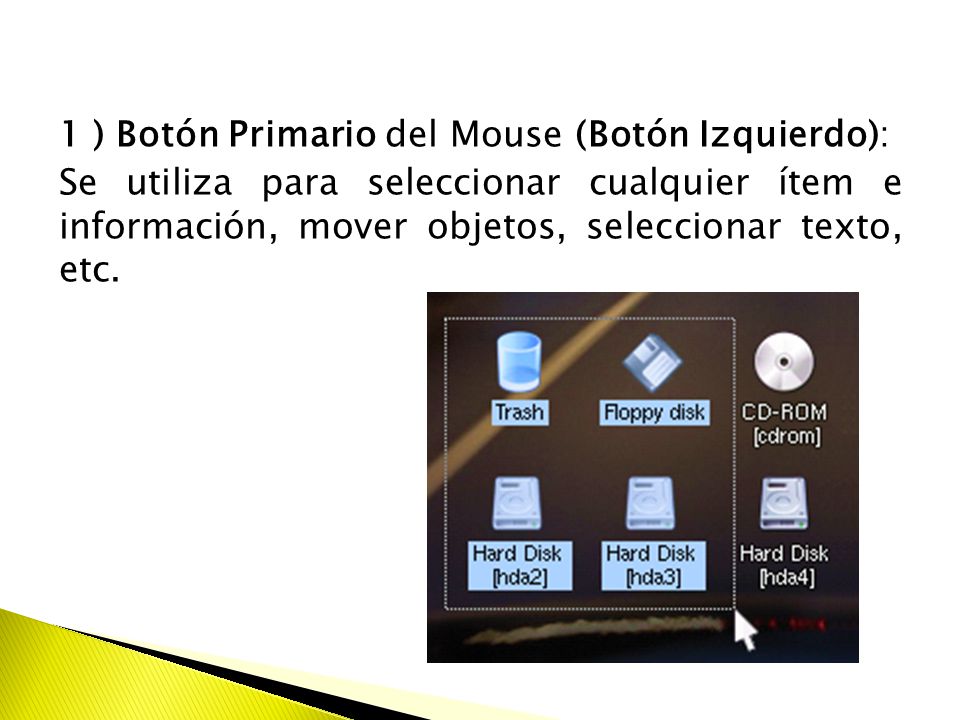 1 ) Botón Primario del Mouse (Botón Izquierdo): Se utiliza para seleccionar cualquier ítem e información, mover objetos, seleccionar texto, etc.