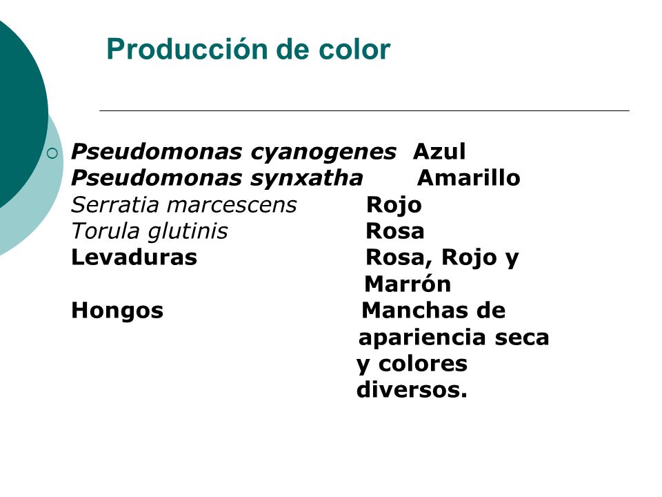 CALIDAD MICROBIOLOGICA LECHE calidad microbiologica leche: