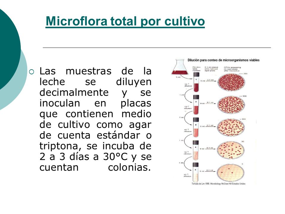 CALIDAD MICROBIOLOGICA LECHE calidad microbiologica leche: