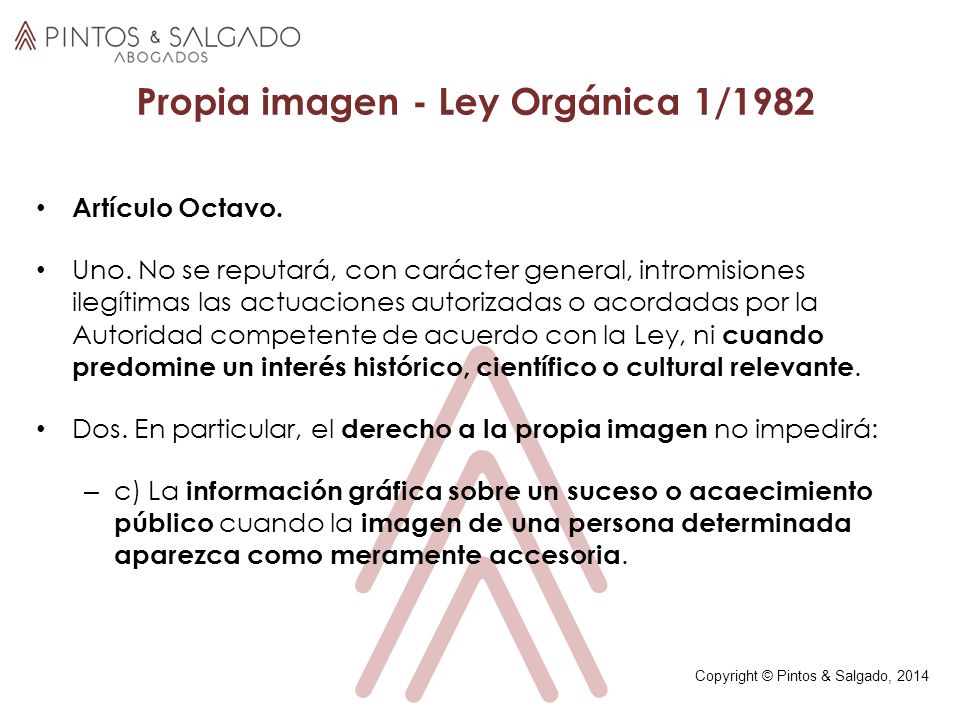 LA LEY ORGANICA 1 1996 DE 15 la ley organica 1 1996 de 15:
