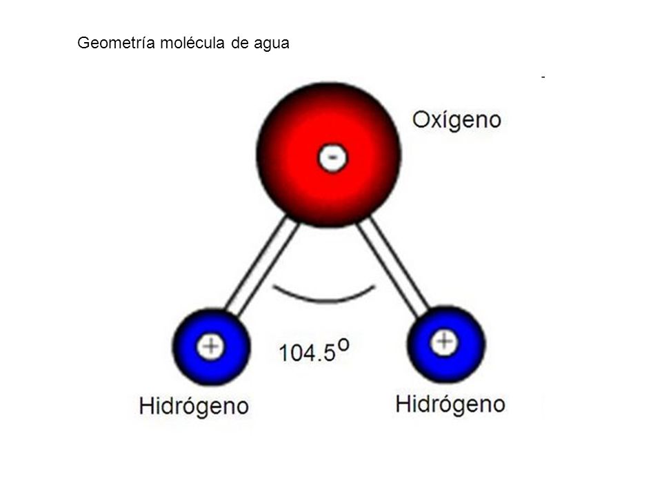 GEOMETRIA DE LAS MOLECULAS ORGANICAS geometria de las moleculas organicas: