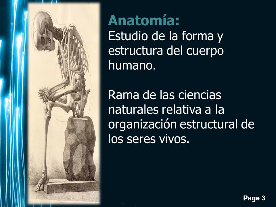 ELEMENTO ESTRUCTURAL HUMANO elemento estructural humano: