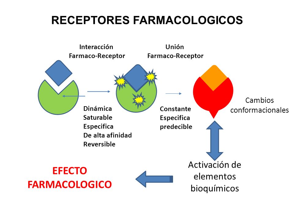 EFECTO FARMACO efecto farmaco: