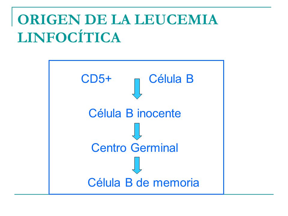 HOSPITAL UNIVERSITARIO MONTERREY N L hospital universitario monterrey n l: