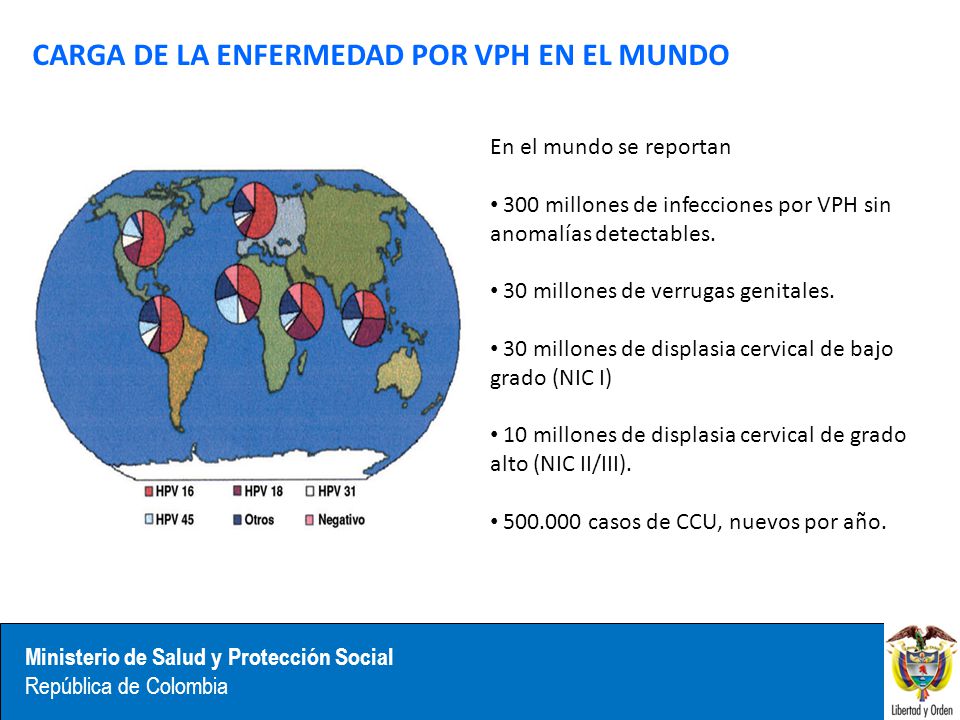 LA CARGA DE LA ENFERMEDAD EN COLOMBIA la carga de la enfermedad en colombia: