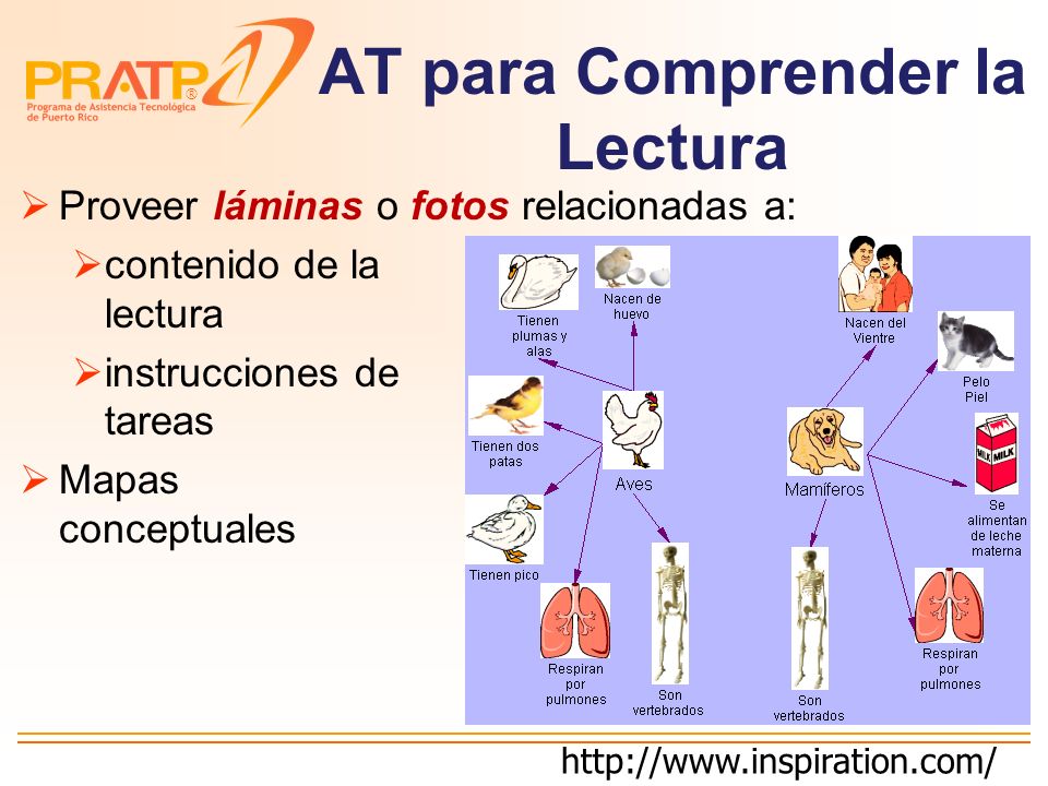 AT para Organizar las Ideas Escritas Mapas de conceptos Formas del agua ooooooooo[[