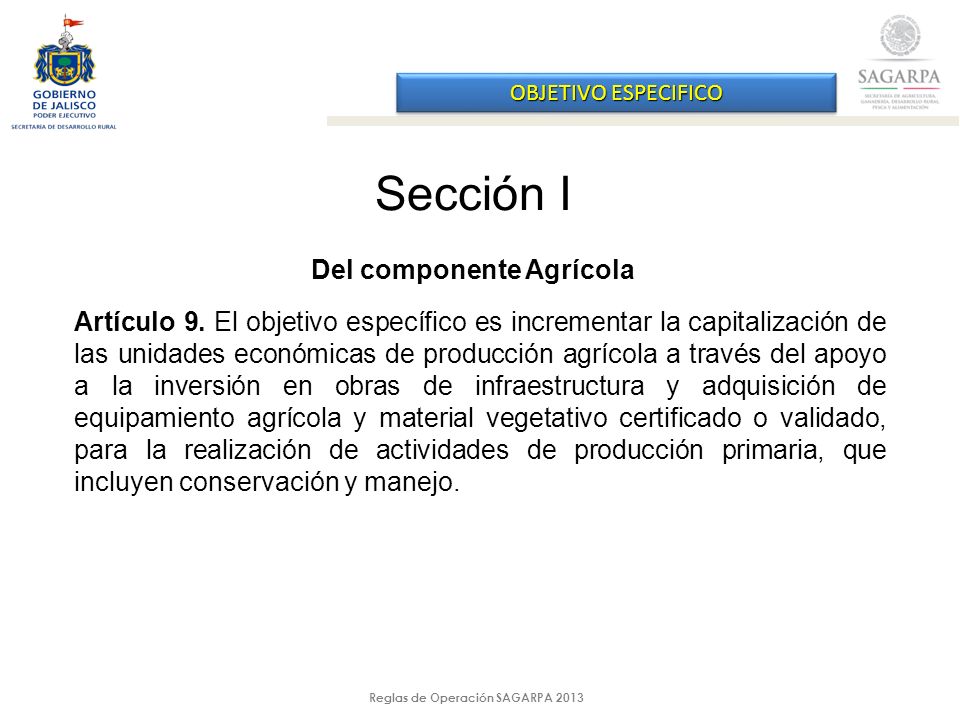Reglas de Operación SAGARPA 2013 OBJETIVO ESPECIFICO Sección I Del componente Agrícola Artículo 9.