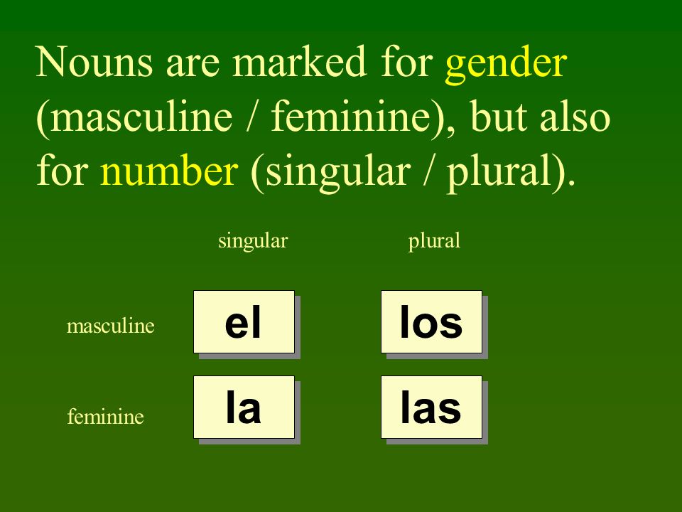 Nouns are marked for gender (masculine / feminine), but also for number (singular / plural).