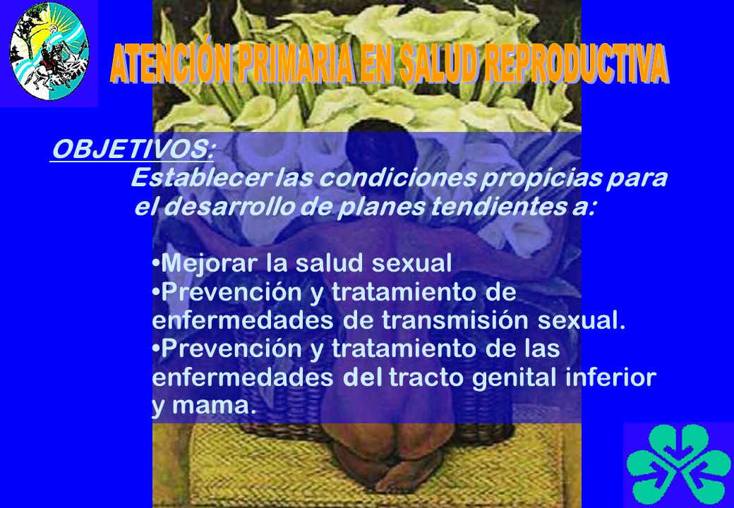 OBJETIVOS: Establecer las condiciones propicias para el desarrollo de planes tendientes a: Mejorar la salud sexual Prevención y tratamiento de enfermedades de transmisión sexual.
