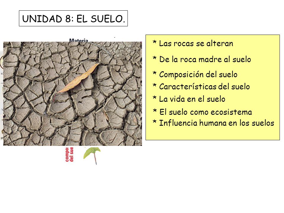 COMPOSICION ROCA MADRE composicion roca madre: