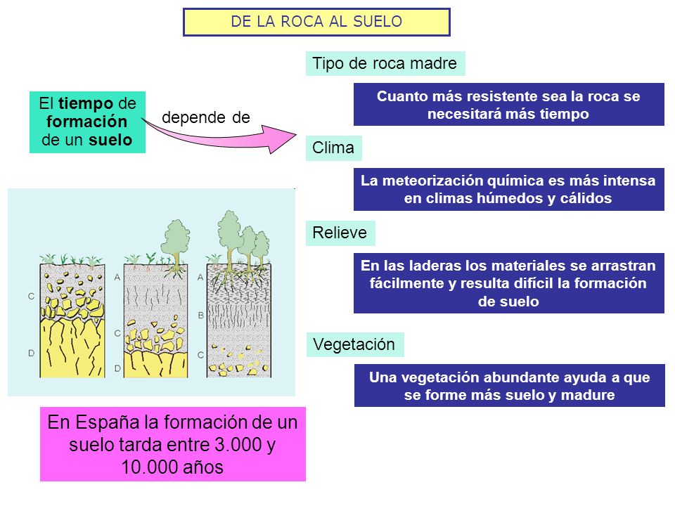 COMPOSICION ROCA MADRE composicion roca madre:
